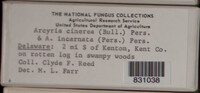 Image Associated With the Occurence